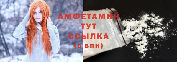 spice Дмитриев