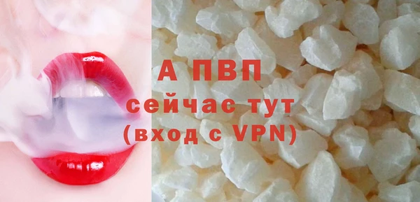 spice Дмитриев