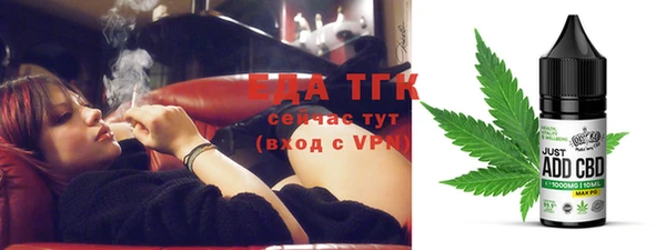 spice Дмитриев