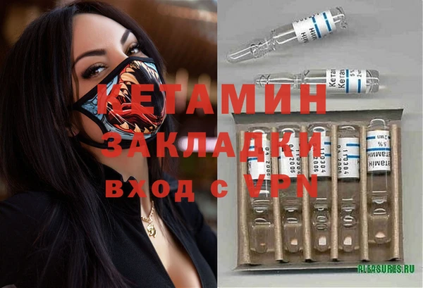 spice Дмитриев
