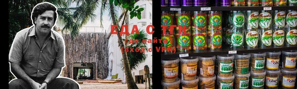 spice Дмитриев