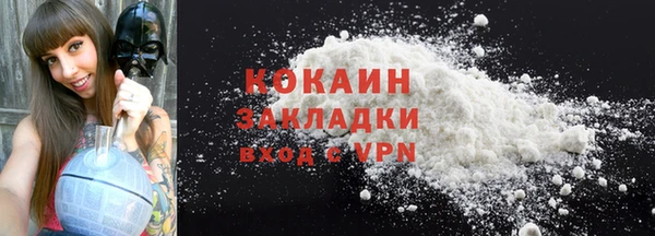 spice Дмитриев