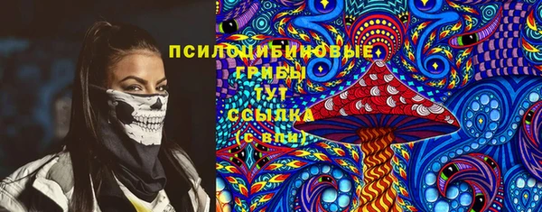 spice Дмитриев