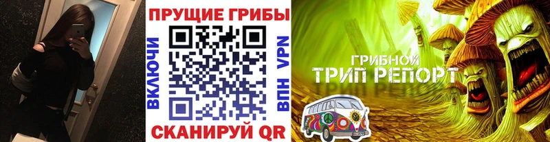 Купить закладки  Кологрив  Галлюциногенные грибы мухоморы 