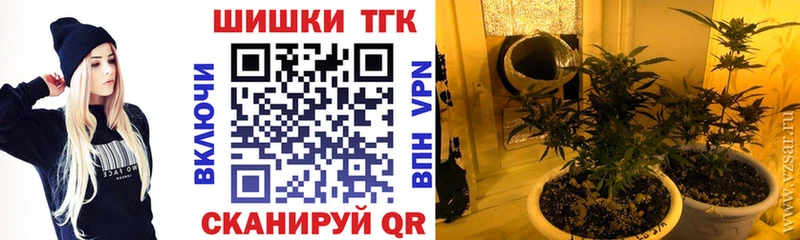 Каннабис сатива  Купить  Кологрив 